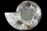 Agatized Ammonite Fossil (Half) - Madagascar #79730-1